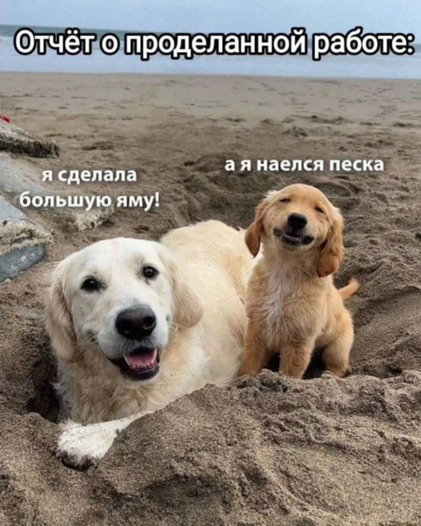 Смешной мем